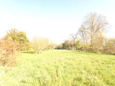 Immeuble de 294m² à vendre à Pierre de Bresse (71)