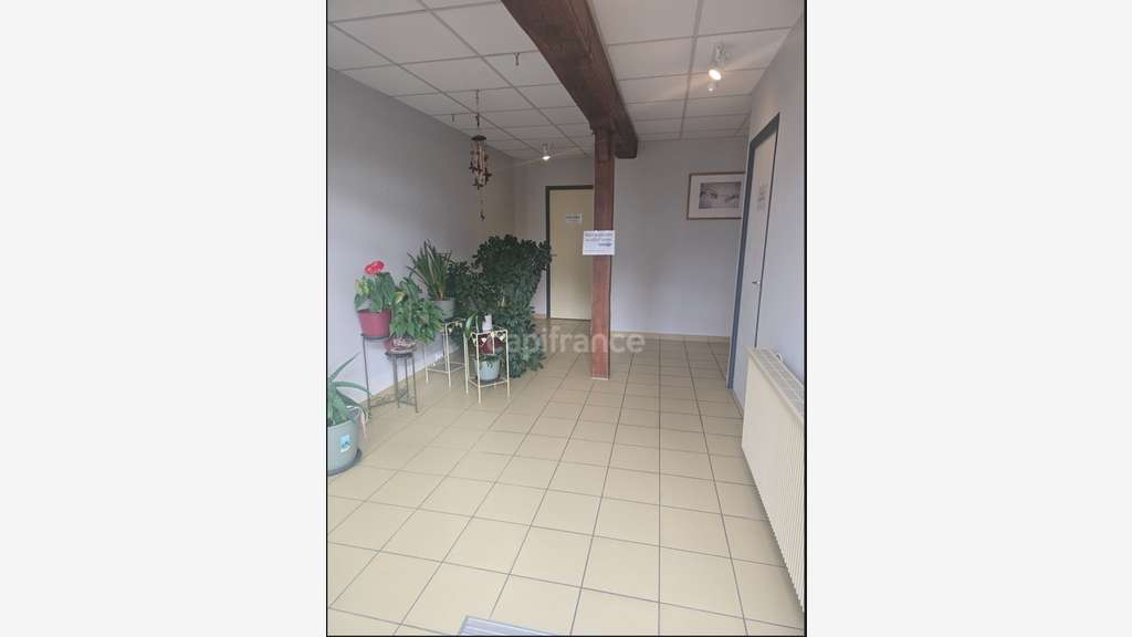 Immeuble à vendre PIERRE DE BRESSE (71)