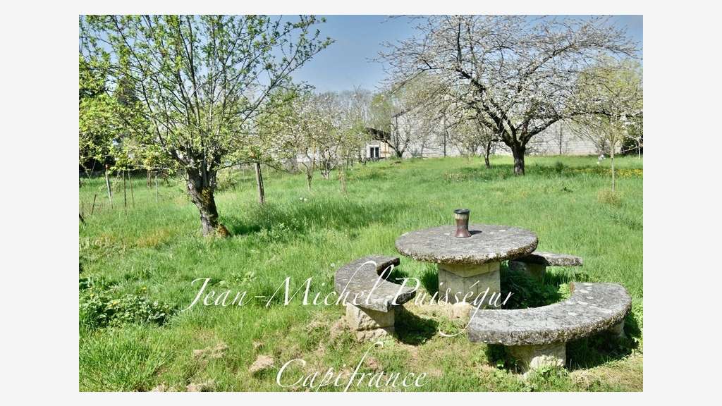 A vendre immeuble à rénover au bas de St Gaudens