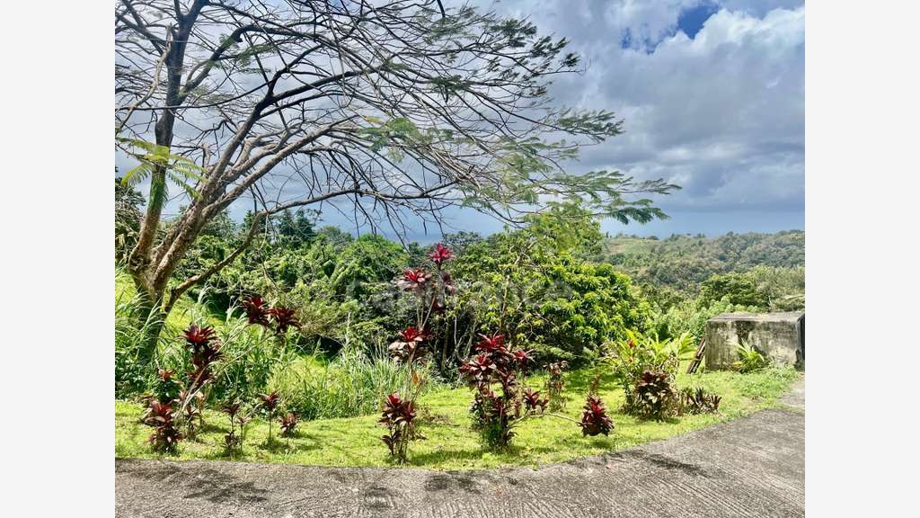 Immeuble de rapport à vendre SCHOELCHER (97233)