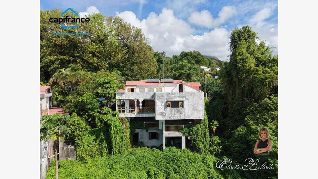 Opportunité investisseur : ensemble immobilier 