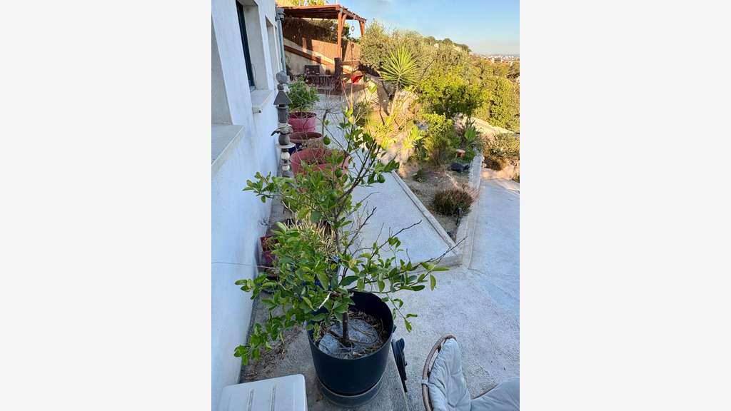 Ensemble 4 logements vue mer, Potentiel 6,6% brut
