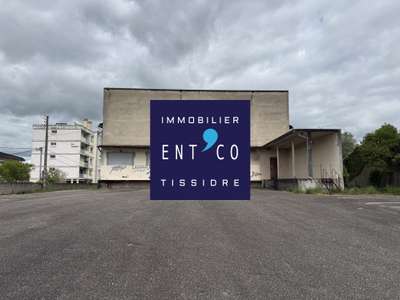 Immobilier Professionnel à vendre Agen