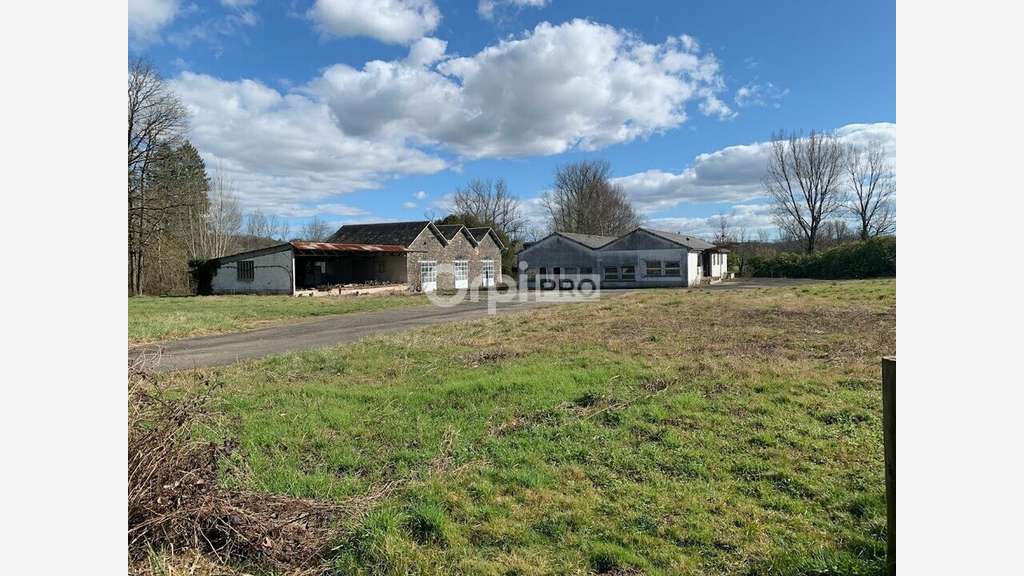 Vente ensemble immobilier 600m² à Allassac