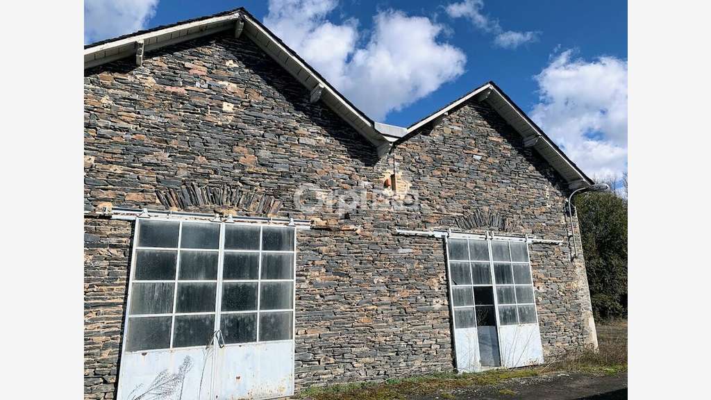 Vente ensemble immobilier 600m² à Allassac