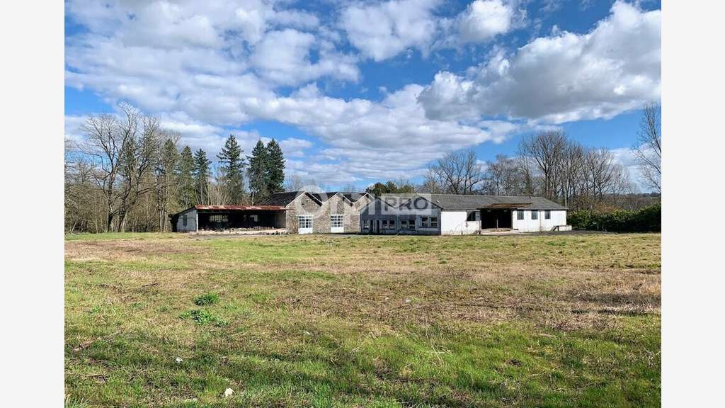 Vente ensemble immobilier 600m² à Allassac