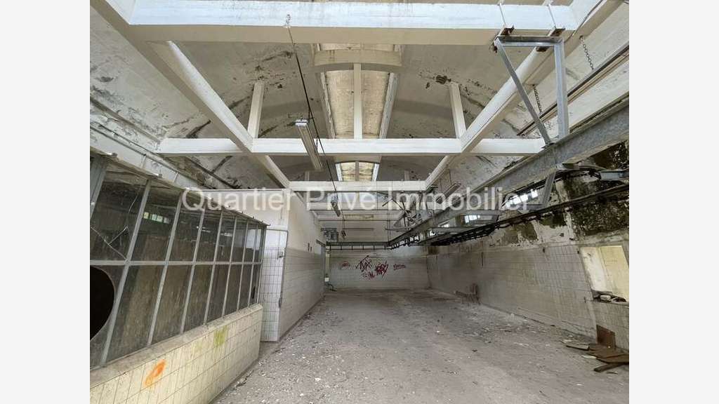 Vente friche industrielle 5600m² à Allassac