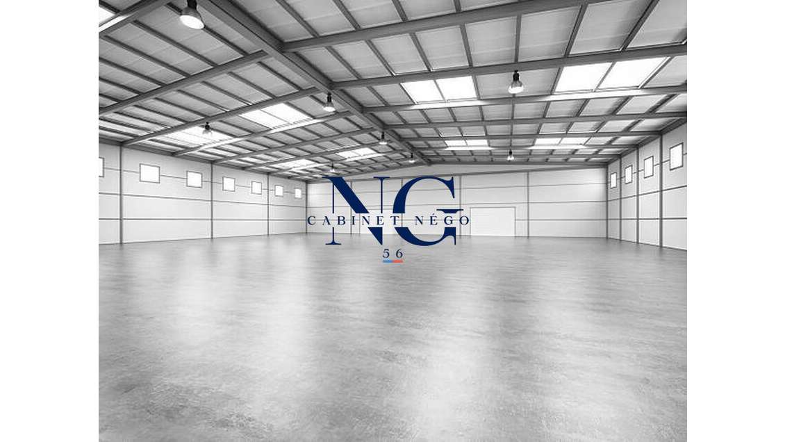 Vente local d'activité 600m² sur 3000m² à Baud