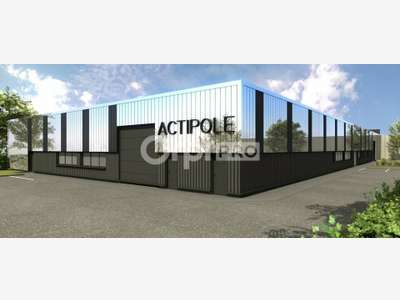 Immeuble d'activité 1600m² divisible à Belleville