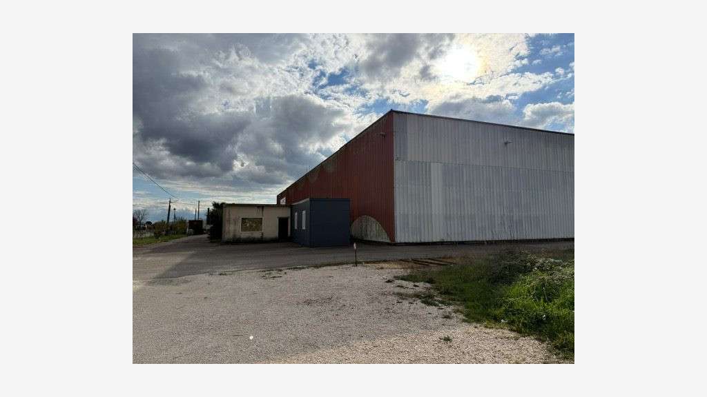 Entrepôt Spacieux et Fonctionnel