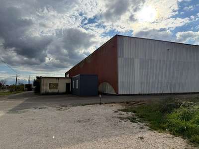 Entrepôt Spacieux et Fonctionnel