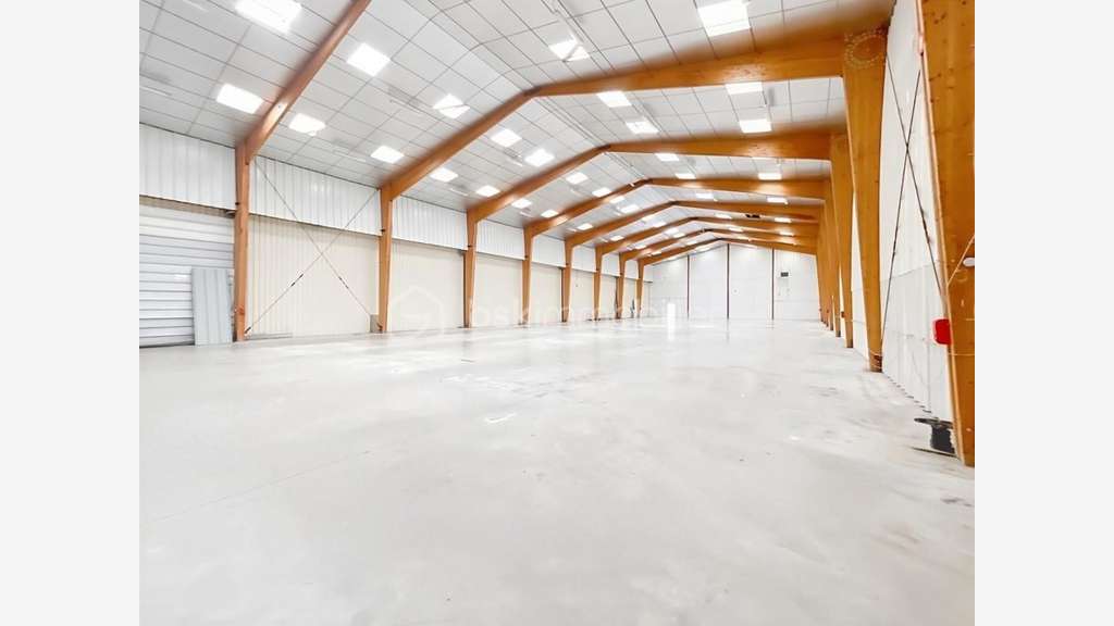 BATIMENT PROFESSIONNEL 1539 m2 - ENTREPOT et