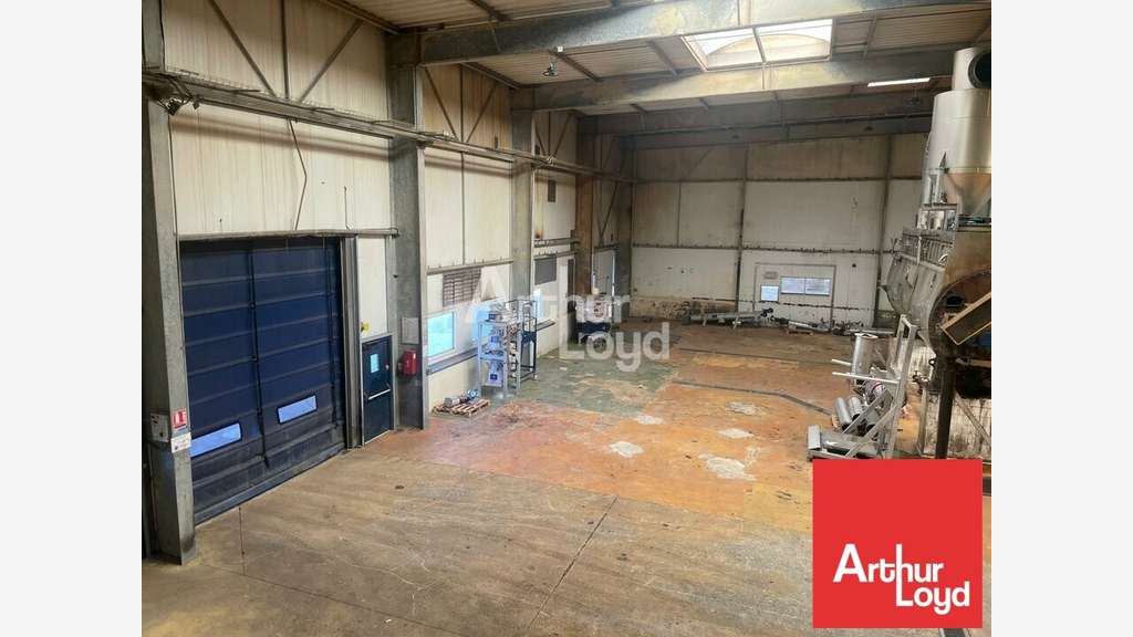 Local d'activité 3260m² à vendre aux Essarts