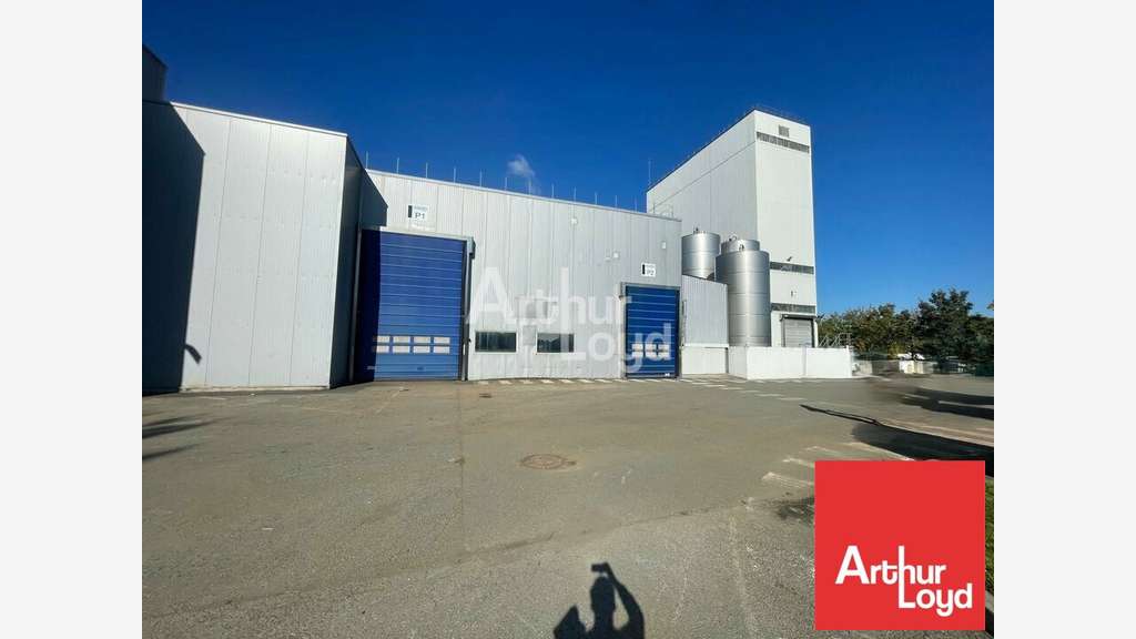 Local d'activité 3260m² à vendre aux Essarts