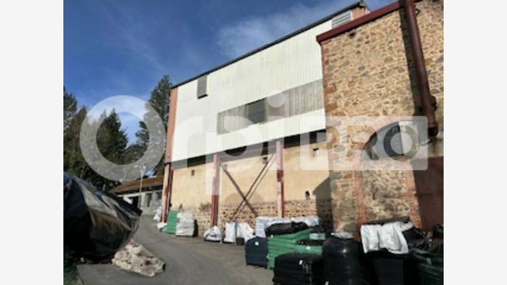 Vente local industriel de 2000m² à Grandris