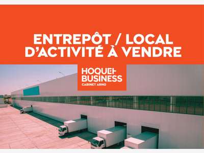 Vente entrepôt logistique frigorifique à Issoire 