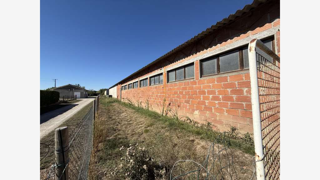 Vente entrepôts 840m² + 77m² à Magdelaine-sur-Tarn
