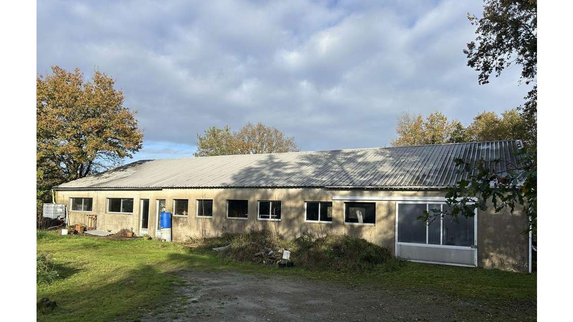 Vente local d'activités 400m² à Mauves-sur-Loire