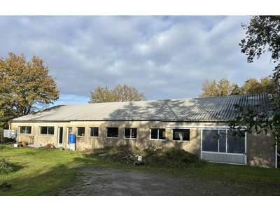 Vente Locaux d'activités - Entrepôts à Mauves-sur-Loire