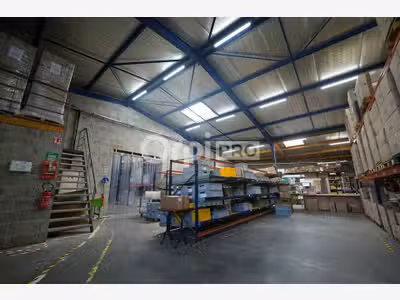 Bâtiment indépendant à vendre 736m² à Messimy