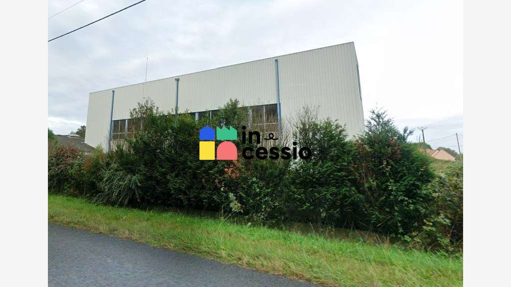 A vendre murs d'activité à réaménager à Moncé 