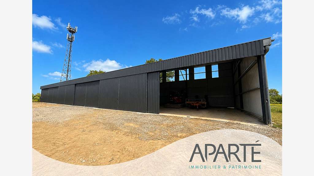 Vente Hangar artisanal de 675m² à Nesmy