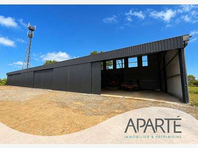 Vente Hangar artisanal de 675m² à Nesmy