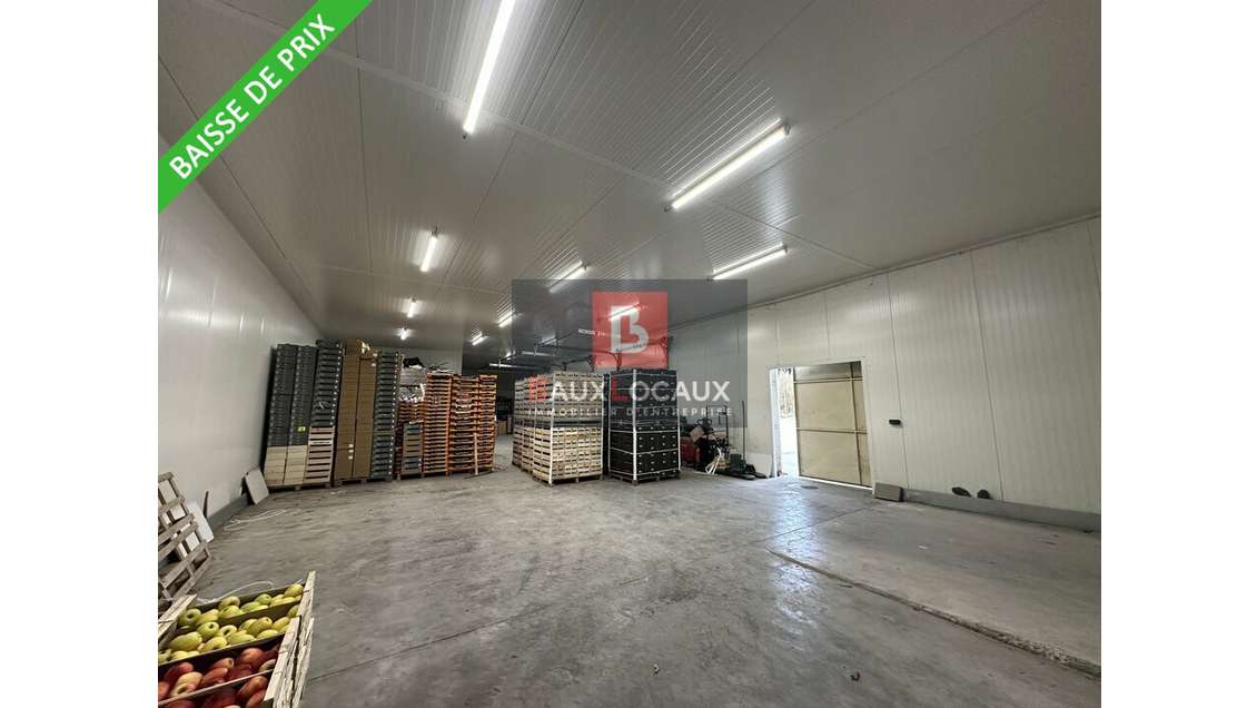 Ensemble agricole/agroalimentaire à vendre à Noves