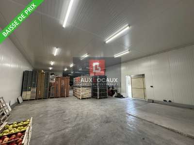 Ensemble agricole/agroalimentaire à vendre à Noves