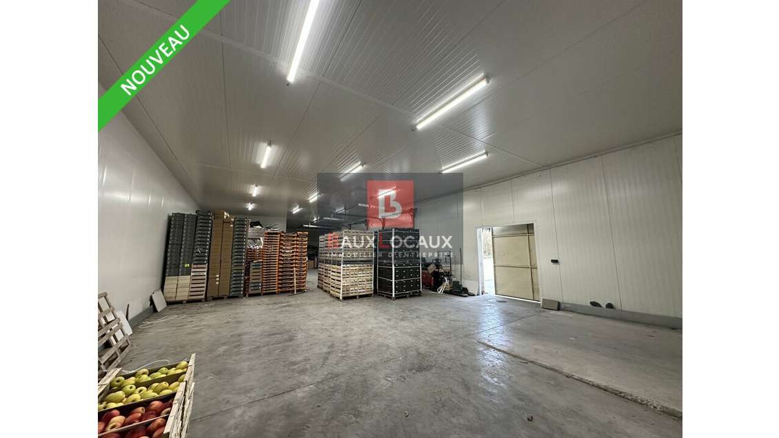 Ensemble agricole/agroalimentaire à vendre à Noves