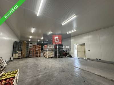 Vente Locaux d'activités - Entrepôts à Noves