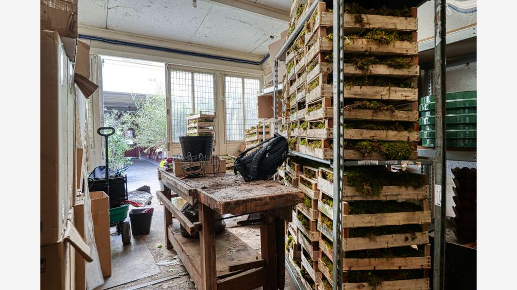 AV local commercial atelier et remise 61m² Paris