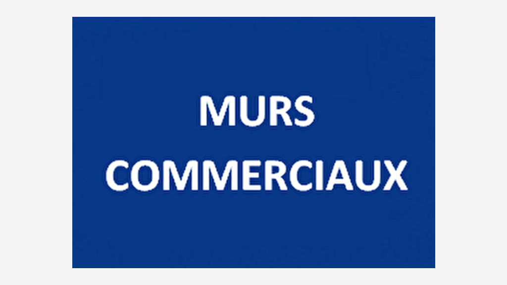Vente murs commerciaux de 300m² en ZA à Pringy