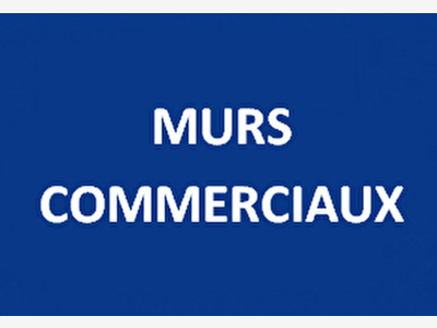 Vente murs commerciaux de 300m² en ZA à Pringy