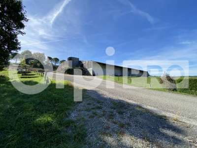 Vente ensemble immobilier de 4000m² à Réalville