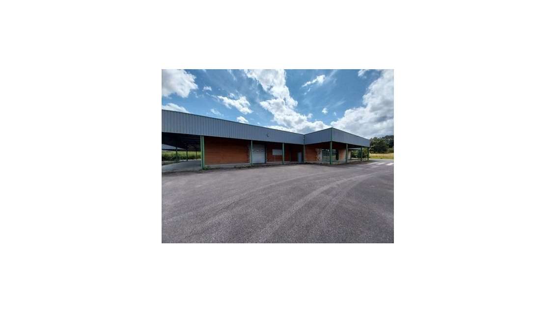 À vendre bâtiment industriel 2500m² à Remomeix N59