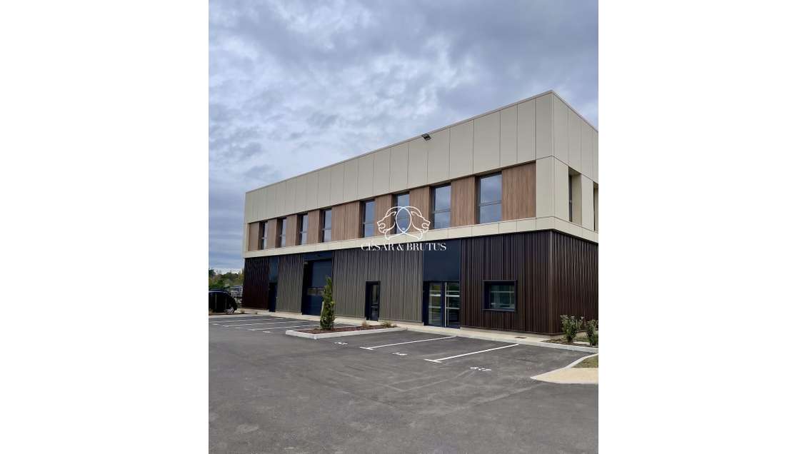Immobilier Professionnel à vendre Rillieux-la-Pape