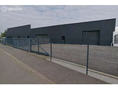 Vente Locaux d'activités - Entrepôts à Rougé