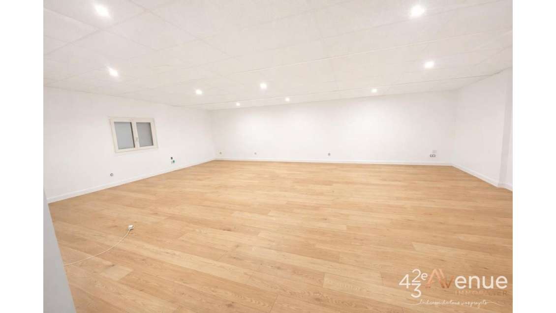 Vente local d'activité 396m² à St-Martin-la-Plaine