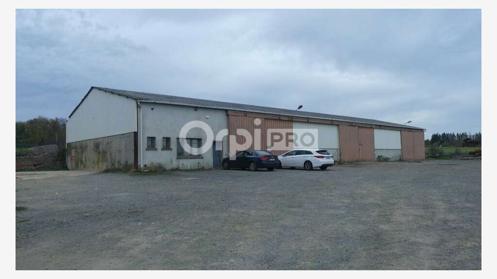 Opportunité investisseur à Sougy-sur-Loire