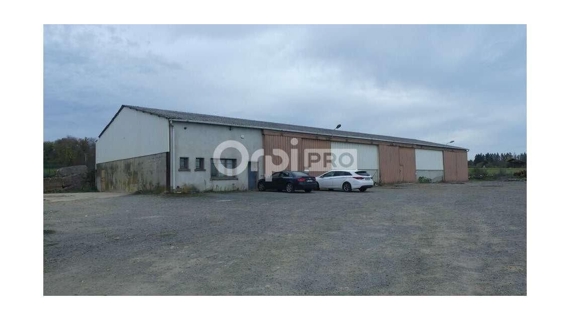 Opportunité investisseur à Sougy-sur-Loire