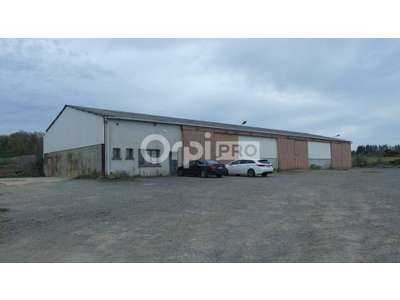 Vente Locaux d'activités - Entrepôts à Sougy-sur-Loire