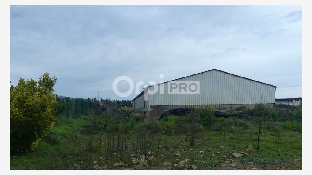 Opportunité investisseur à Sougy-sur-Loire