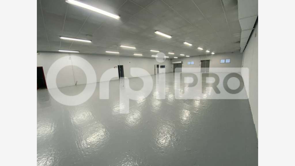 AV locaux d'activité 1180m² à Verdun-sur-Garonne
