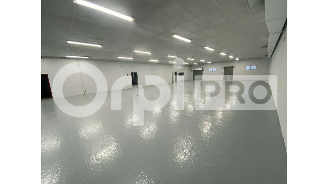 AV locaux d'activité 1180m² à Verdun-sur-Garonne