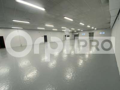 AV locaux d'activité 1180m² à Verdun-sur-Garonne