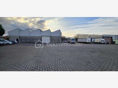 Vente locaux d'activité loués à Wavrin N41
