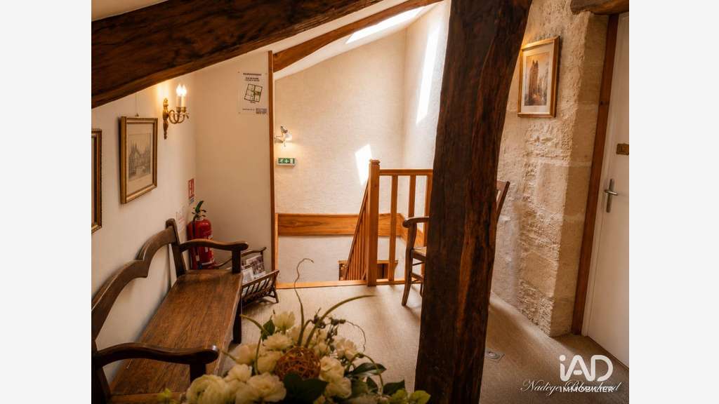 Vente FDC et murs hôtel de charme 702m² à Aulnay