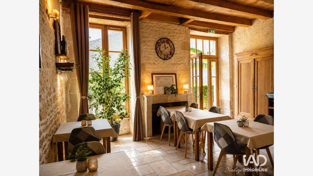 Vente FDC et murs hôtel de charme 702m² à Aulnay