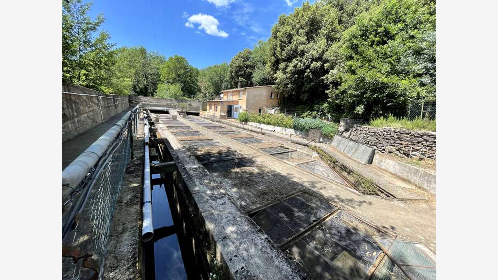 Dept 34 - BEDARIEUX - FERME AQUACOLE - 3 900 m2